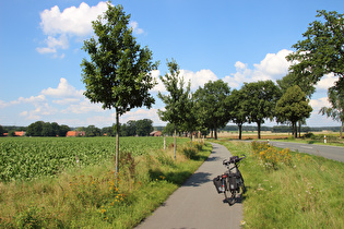 Lüneburger Heide (bei Velgen)