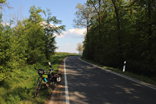 Sattelpunkt zwischen Brevörde und Ottenstein, Blick nach Südosten