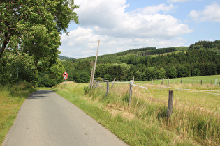 fünfter Sattelpunkt der Etappe: Ruhrtalradweg zwischen Assinghausen und Wiemeringhausen; Blick nach Süden, …