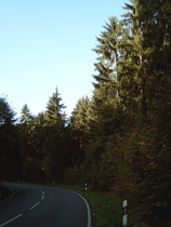 weiter oben auf der L485 Richtung Alfeld