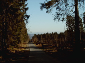 der Kreuzweg zwischen Abbecke und L549