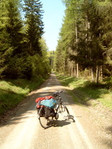 stramm bergauf im Seulingswald