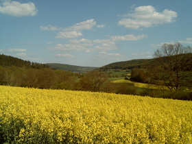 im Lauterbachtal, Blick Richtung Bad Salzschlirf