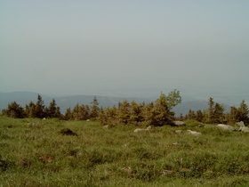 an der Baumgrenze, Blick nach Nordosten