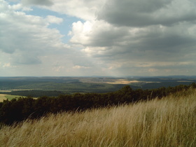 Köterberg, Gipfel: Blick nach Nordwesten