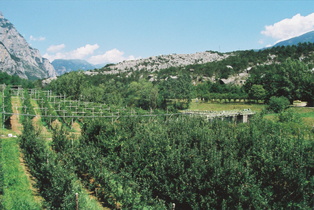 eine Endmoräne im Valle del Laghi