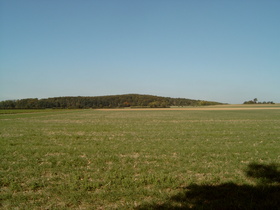 Südflanke des Gehrdener Berges mit Süerser Berg und Kniggenberg