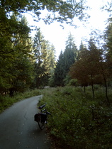 Bierweg, nach der Kehre