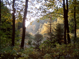 Herbststimmung an einem Seitenarm des Okerstausees