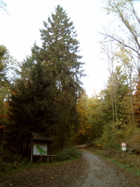 Beginn des Anstiegs zum Deisterkamm