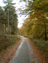der Kammweg
