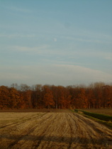 Großes Holz, Westseite