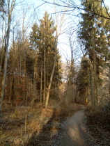 Rundweg auf der Ostseite