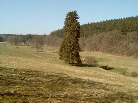 die Seutebornwiese mit der Bremke