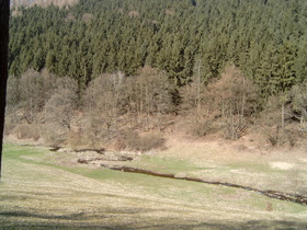 die Holzminde im Rumohrtal