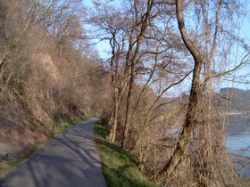 Weserradweg zwischen Bodenwerder und Hehlen