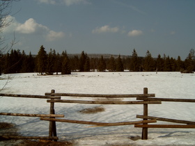 Sonnenberg, Blick auf Drei Hörste