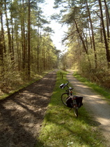 "ausgebauter" Waldweg