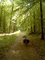 Anstieg im Hildesheimer Wald