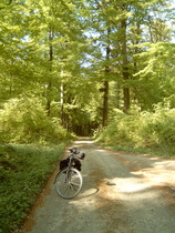 Dach der Tour im Hildesheimer Wald