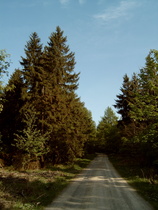 Kammweg zwischen Flugsicherungsanlage und Nienstedter Pass