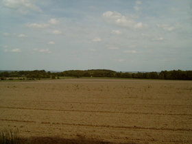 Blick Richtung Steinhuder Meer