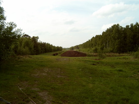 Blick ins Große Moor