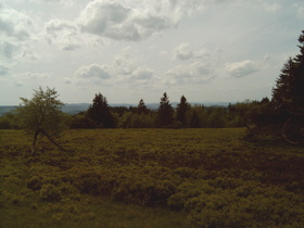 auf dem Gipfelrundweg, Blick nach Süden