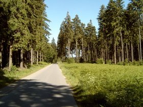 oberer Bereich der Abfahrt nach Sievershausen