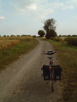 Osterwald (südliche Feldmark)