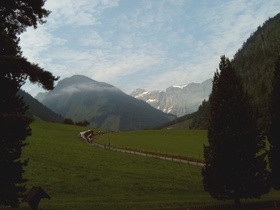 Morgenstimmung im Quartier mit Viehaustrieb