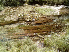 der Wiesensee: Abfluss