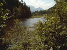 der Wiesensee: offene Wasserfläche