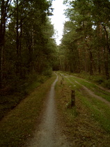 suboptimaler Fahrradweg