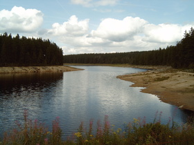 Oderteich mit Niedrigwasser