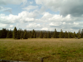 Sonnenberg, Blick auf "Drei Hörste"