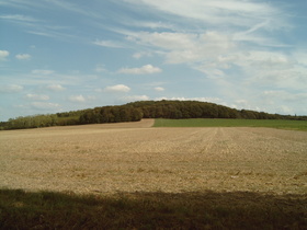 Gehrdener Berg, Burgberg