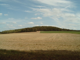 Gehrdener Berg, Burgberg