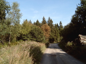 Kammweg zwischen Flugsicherungsanlage und Nienstedter Pass