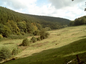 Rumohrtal, oberer Teil