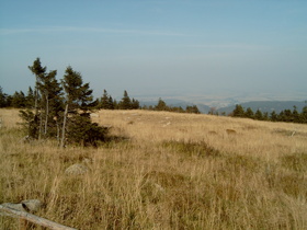 an der Baumgrenze, Blick nach Nordosten