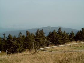 an der Baumgrenze, Blick auf die Hohneklippen