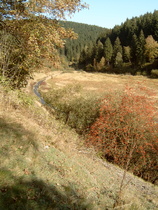 die Kalbe im Okerstausee, zeitweilig überflutet