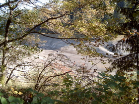 die Kalbe im Okerstausee, meistens überflutet