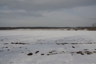 am Nordrand des Benther Berges: Blick nach Norden