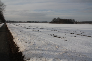 am Nordrand des Benther Berges: Blick nach Westen