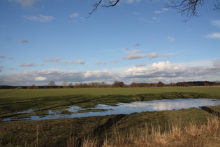 zwischen Heideschlößchen und Kaltenweide, Blick nach Norden