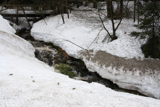 ein Bach ziemlich weit oben