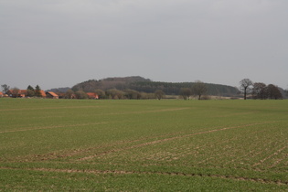 Düdinghauser Berg, der östlichste Gipfel der Rehburger Berge