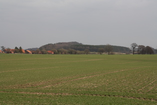 Düdinghauser Berg, der östlichste Gipfel der Rehburger Berge